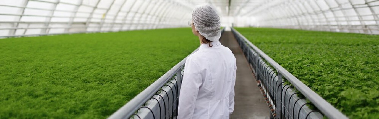 5001��˹ά��˹(�й���)���޹�˾-BinG�ٿ�