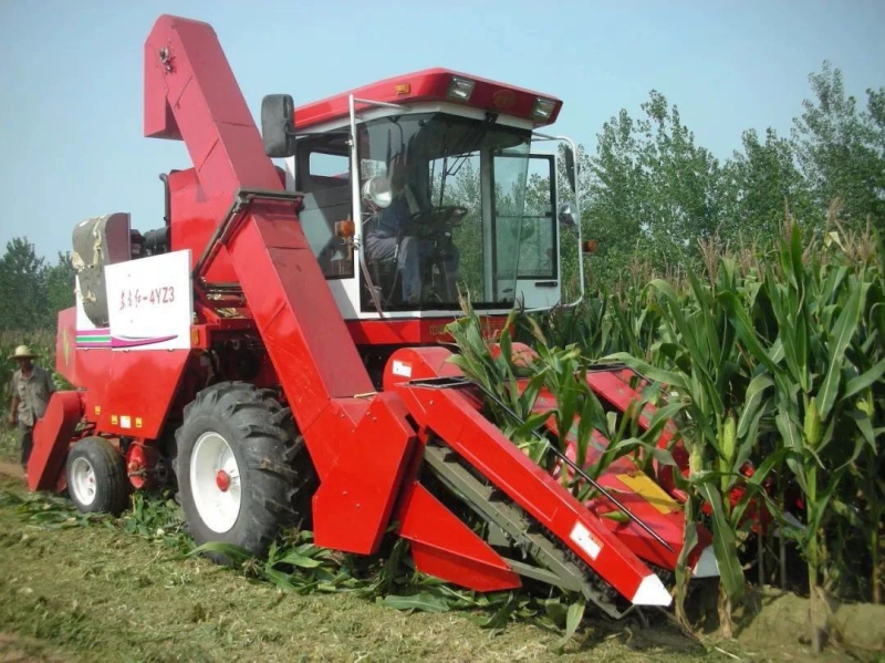 ¿Ê±KB88¡¤(ÖйúÇø)¹Ù·½ÍøÕ¾