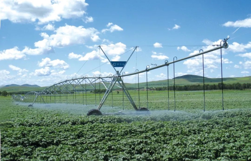 ¿Ê±KB88¡¤(ÖйúÇø)¹Ù·½ÍøÕ¾